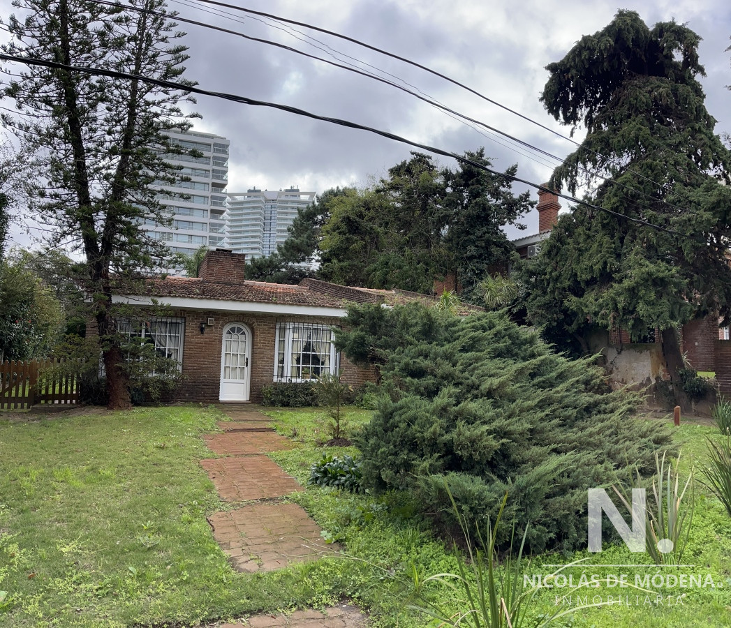 Aidy Grill - GoPunta - Portal Inmobiliario de Punta del Este - Maldonado