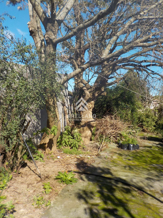 Casa ID.1226 - Casa en Maldonado, 3 dormitorios
