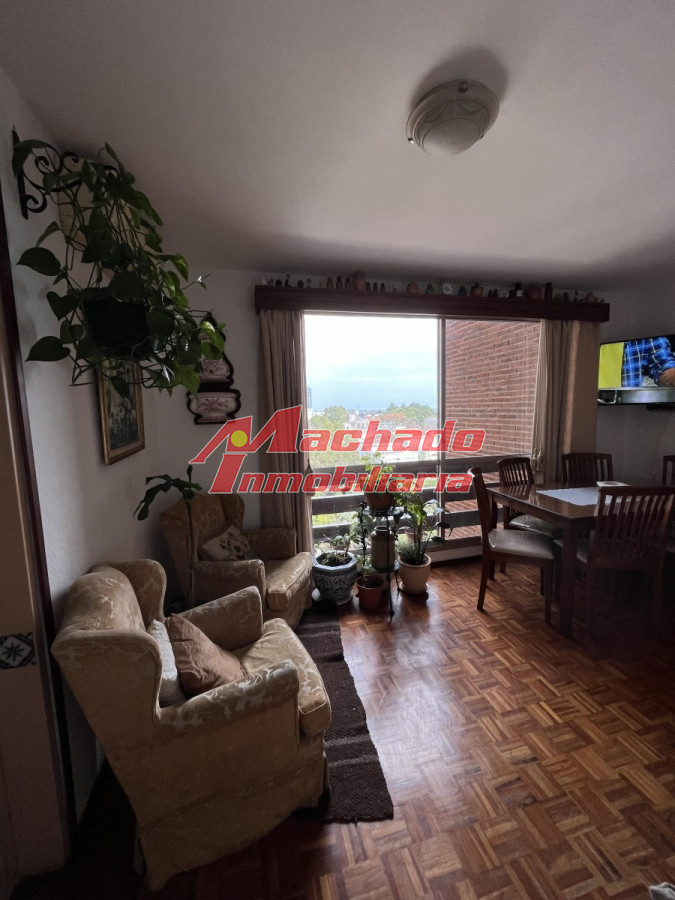 Maldonado - GoPunta - Portal Inmobiliario de Punta del Este - Maldonado