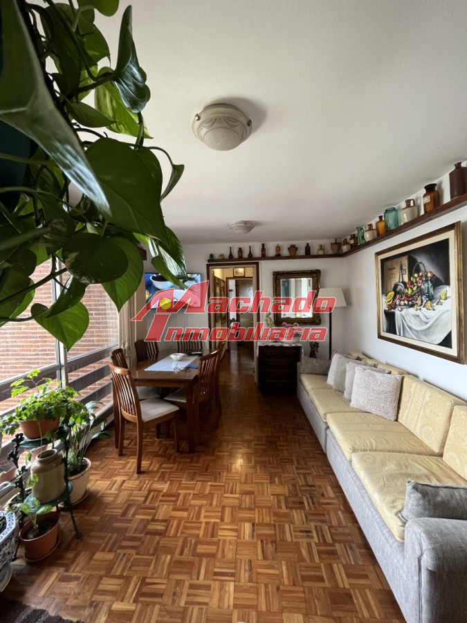 Maldonado - GoPunta - Portal Inmobiliario de Punta del Este - Maldonado