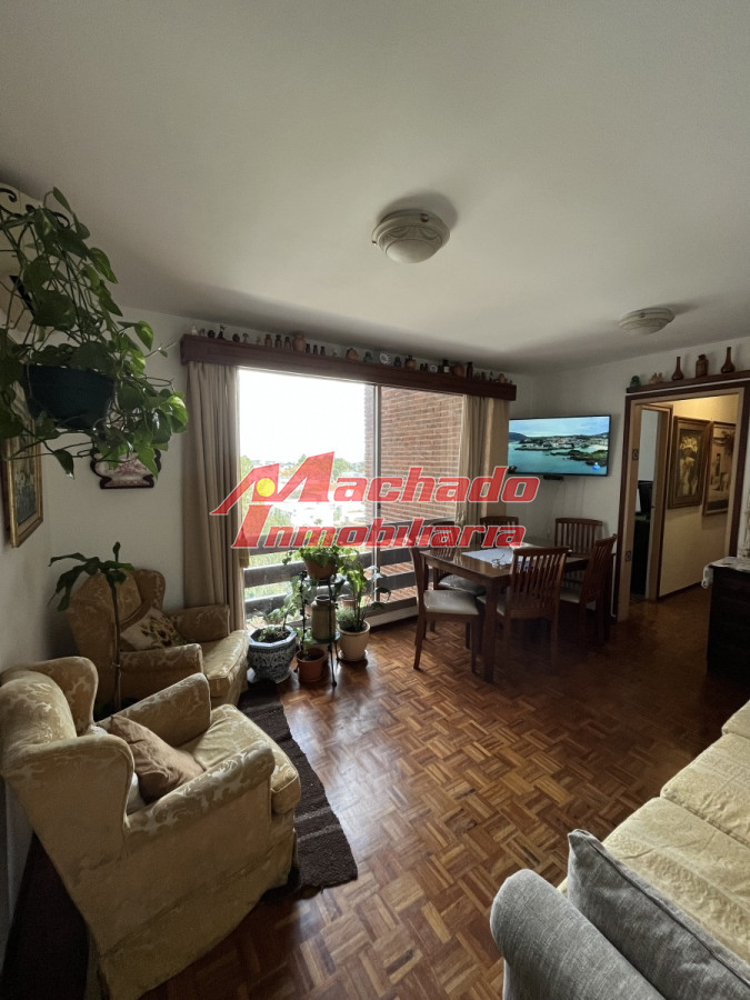 Maldonado - GoPunta - Portal Inmobiliario de Punta del Este - Maldonado