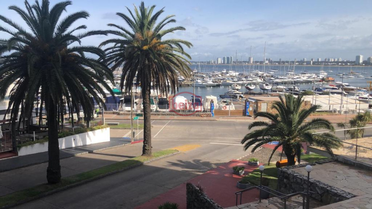 Apartamento ID.166023/Apartamento-en-Maldonado* - Monoambiente en el Puerto.