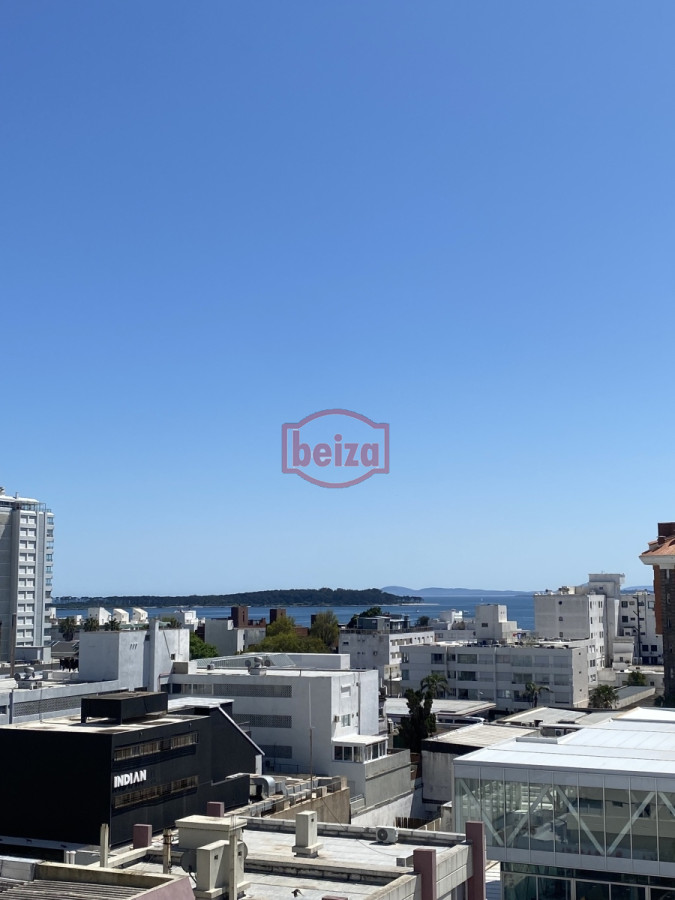 Apartamento ID.163946/Alquiler-Apartamento-1-dormitorio-en-la-Peninsula - Monoambiente sobre la playa