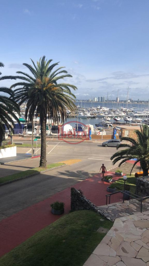 Apartamento ID.166023/Apartamento-en-Maldonado* - Monoambiente en el Puerto.
