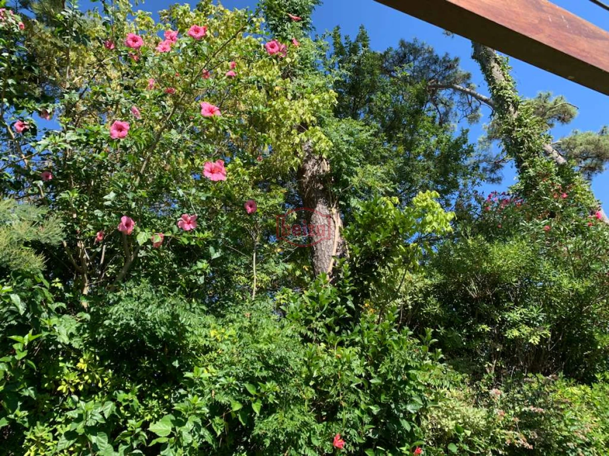 Casa ID.163391/Alquiler-casa-3-dormitorios - ALQUILER Casa  a 500 mts de la Playa Mansa 