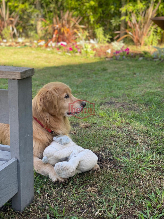 Casa ID.166944/Casa-en-Cantegril-de-5-Dormitorios - Alquiler Casa 1 dormitorio en Rincon del Indio