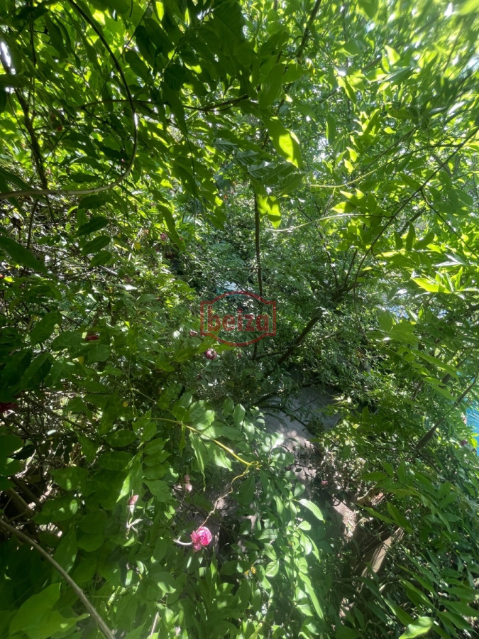 Casa ID.164700/casa-con-pileta-de-3-dormitorios - divina cabaña hermoso jardin