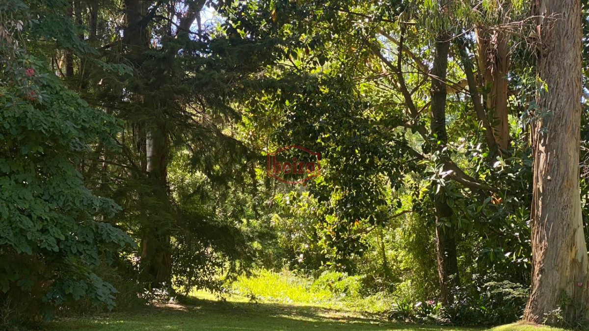 Casa ID.166394/alquiler-una-cuadra-del-mar-MANSA - Casa alquiler 5 dormitorios en San Rafael