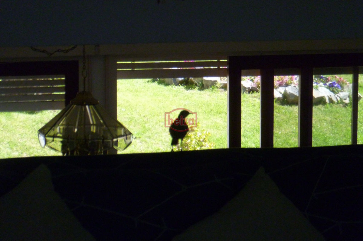 Casa ID.163340/En-venta-y-Alquiler..-imperdible-oportunidad..-a-metros-del-mar!!! - Casa en Mansa, 3 dormitorios *