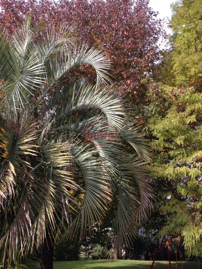 Casa ID.163162/Casa-en-Mansa--Pda-11--4-dormitorios-4-baños - Hermosa casa de 4 Dormitorios y 3 Baños