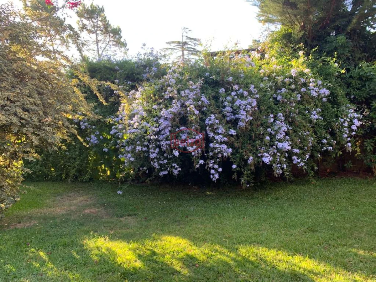 Casa ID.163391/Alquiler-casa-3-dormitorios - ALQUILER Casa  a 500 mts de la Playa Mansa 