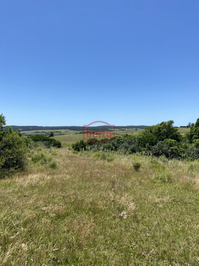 Chacra ID.166662/Chacra-próxima-a-Punta-del-Este-OPORTUNIDAD-en-venta - Chacra en Garzón