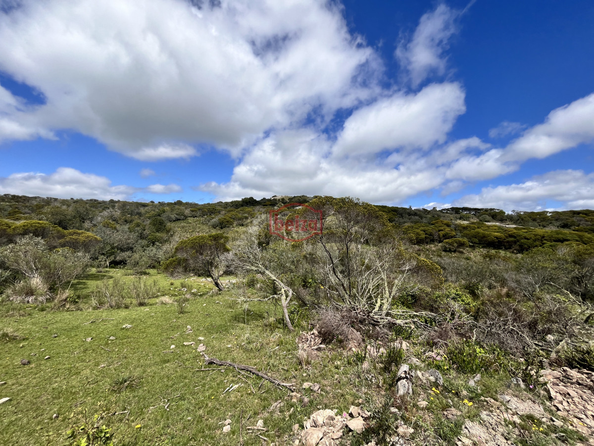 Venta chacra 3 ha proximo ruta 39 San Carlos Maldonado - BZA166871H