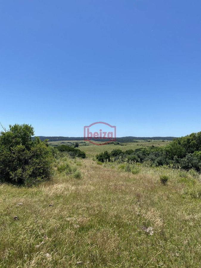Chacra ID.166662/Chacra-próxima-a-Punta-del-Este-OPORTUNIDAD-en-venta - Chacra en Garzón