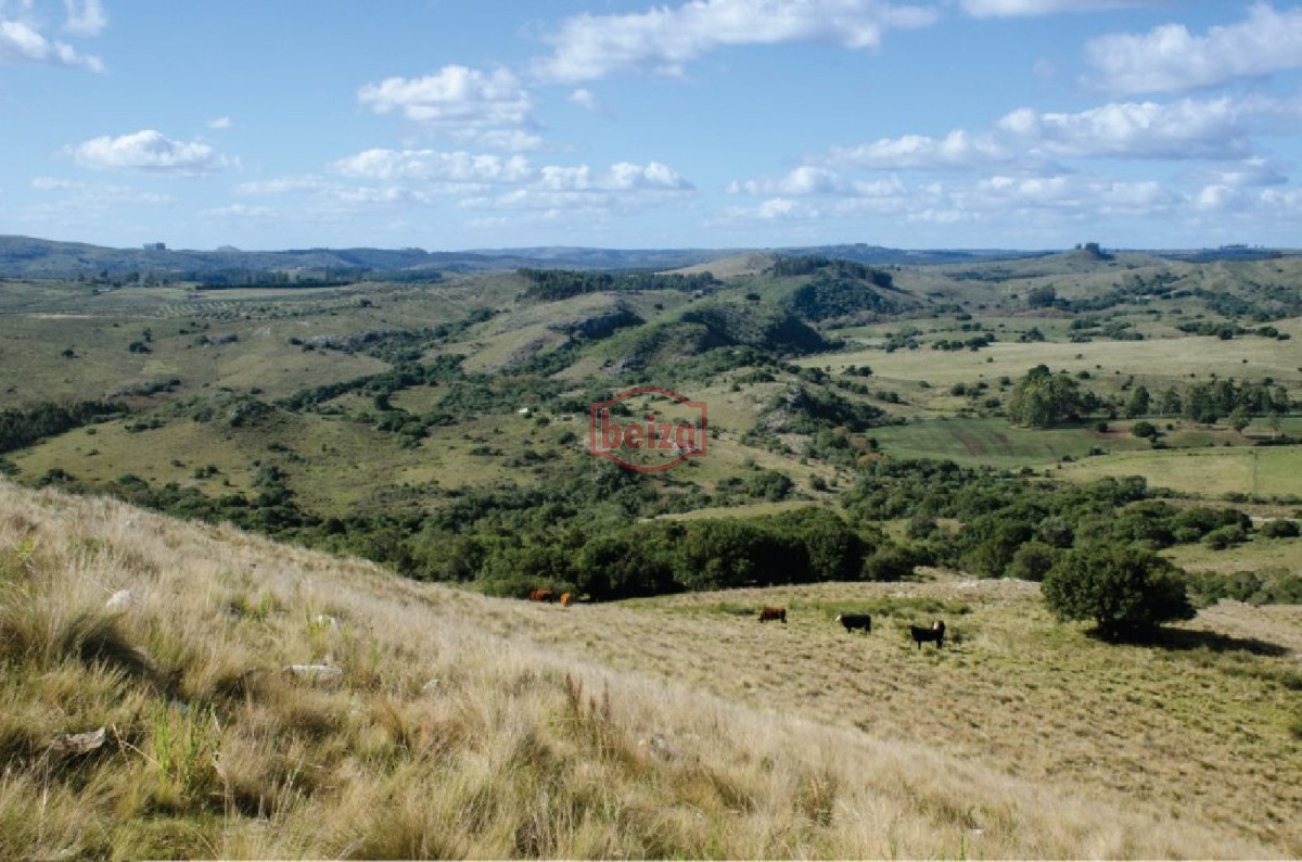 Chacra ID.163612 - Fraccionamiento ... Cumbres de la Ramallo ... Chacra 38