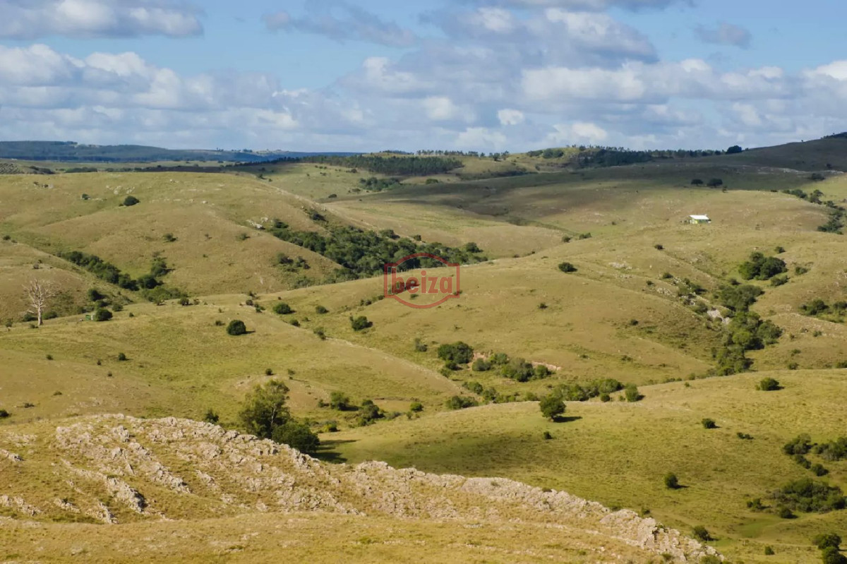 Chacra ID.163612 - Fraccionamiento ... Cumbres de la Ramallo ... Chacra 38