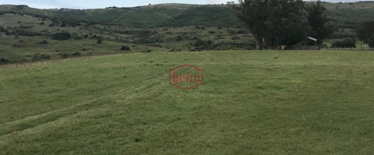 Chacra ID.163612 - Fraccionamiento ... Cumbres de la Ramallo ... Chacra 38