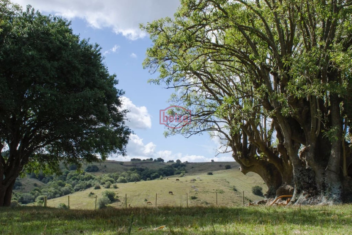 Chacra ID.163612 - Fraccionamiento ... Cumbres de la Ramallo ... Chacra 38