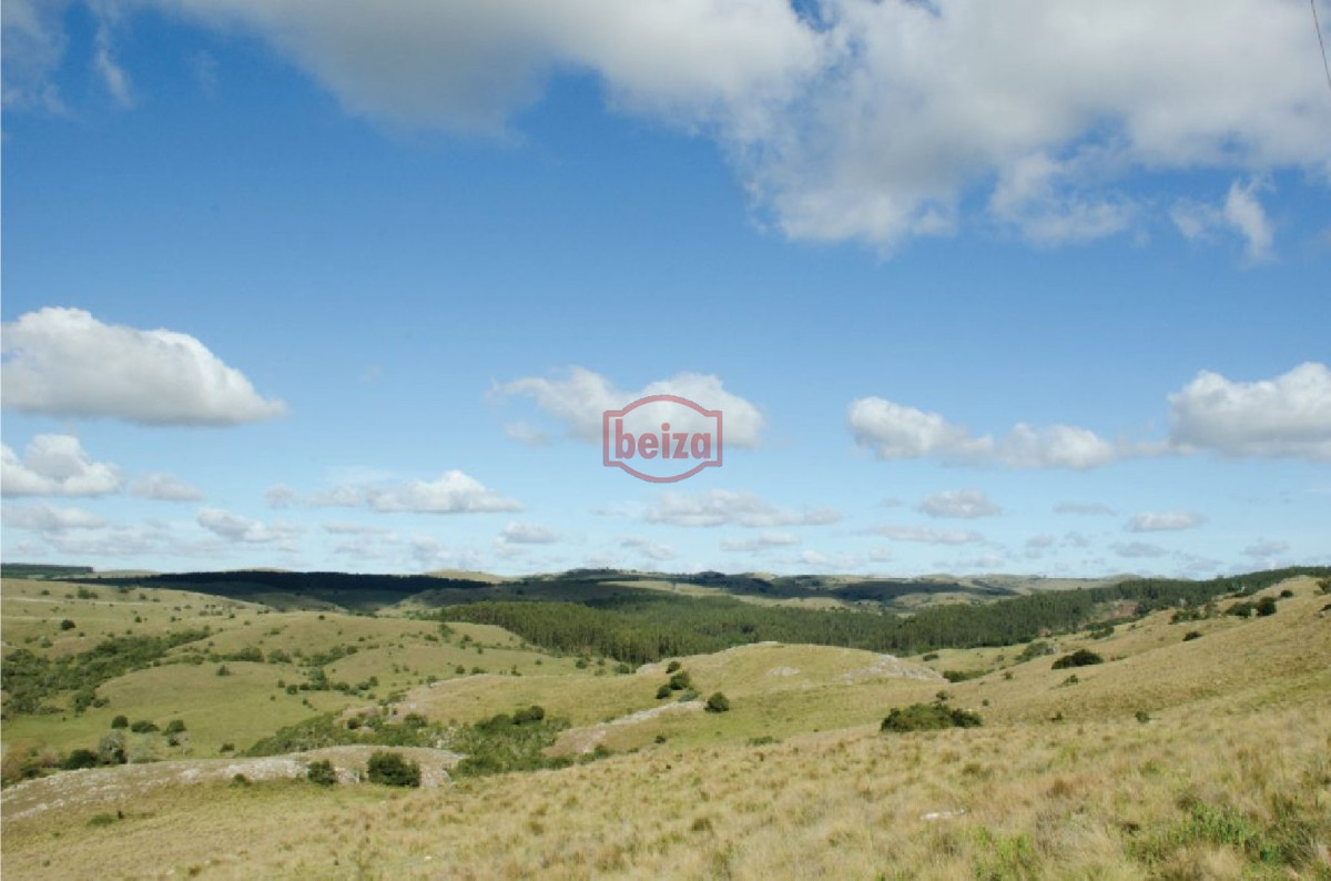 Chacra ID.163612 - Fraccionamiento ... Cumbres de la Ramallo ... Chacra 38