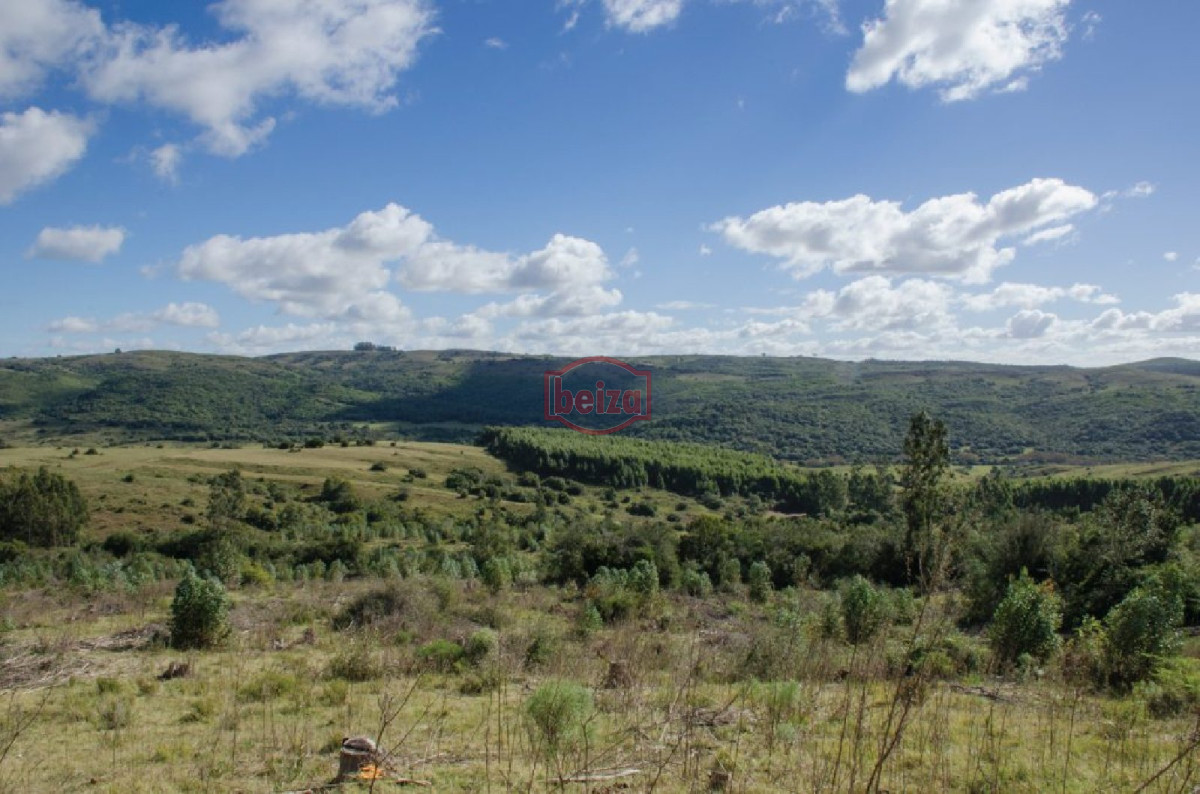 Chacra ID.163612 - Fraccionamiento ... Cumbres de la Ramallo ... Chacra 38