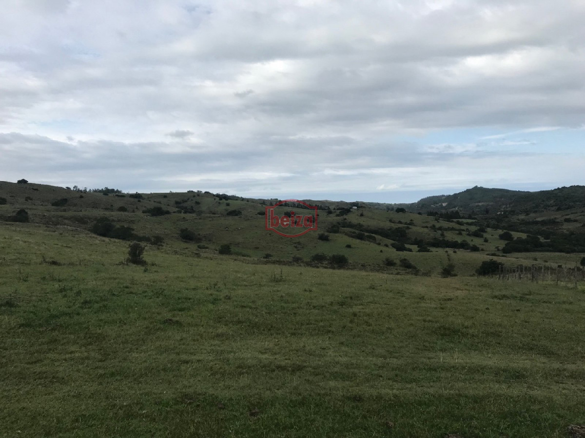 Chacra ID.163612 - Fraccionamiento ... Cumbres de la Ramallo ... Chacra 38