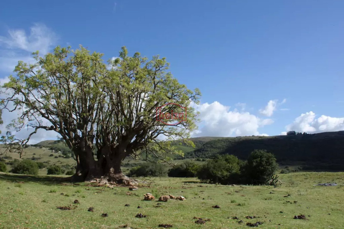 Chacra ID.163581/Chacras-en-Venta--Beiza-Propiedades - Fraccionamiento ... Cumbres de la Ramallo ... Chacra 01