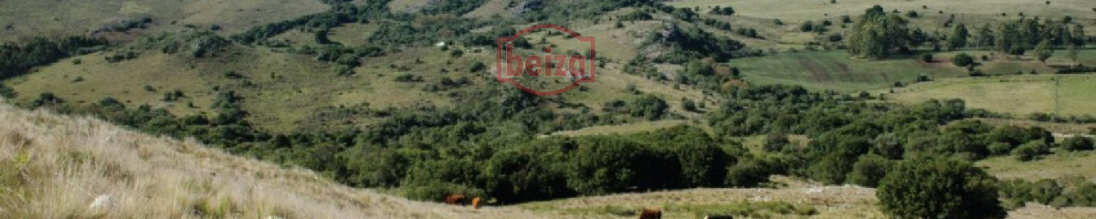 Fraccionamiento ... Cumbres de la Ramallo ... Chacra 31