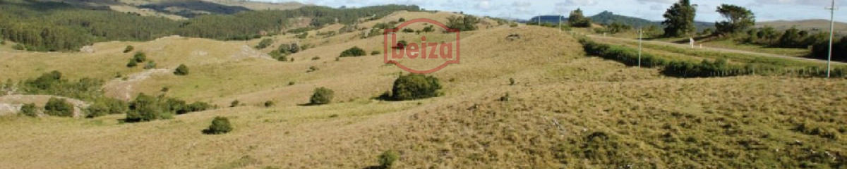 Fraccionamiento ... Cumbres de la Ramallo ... Chacra 25
