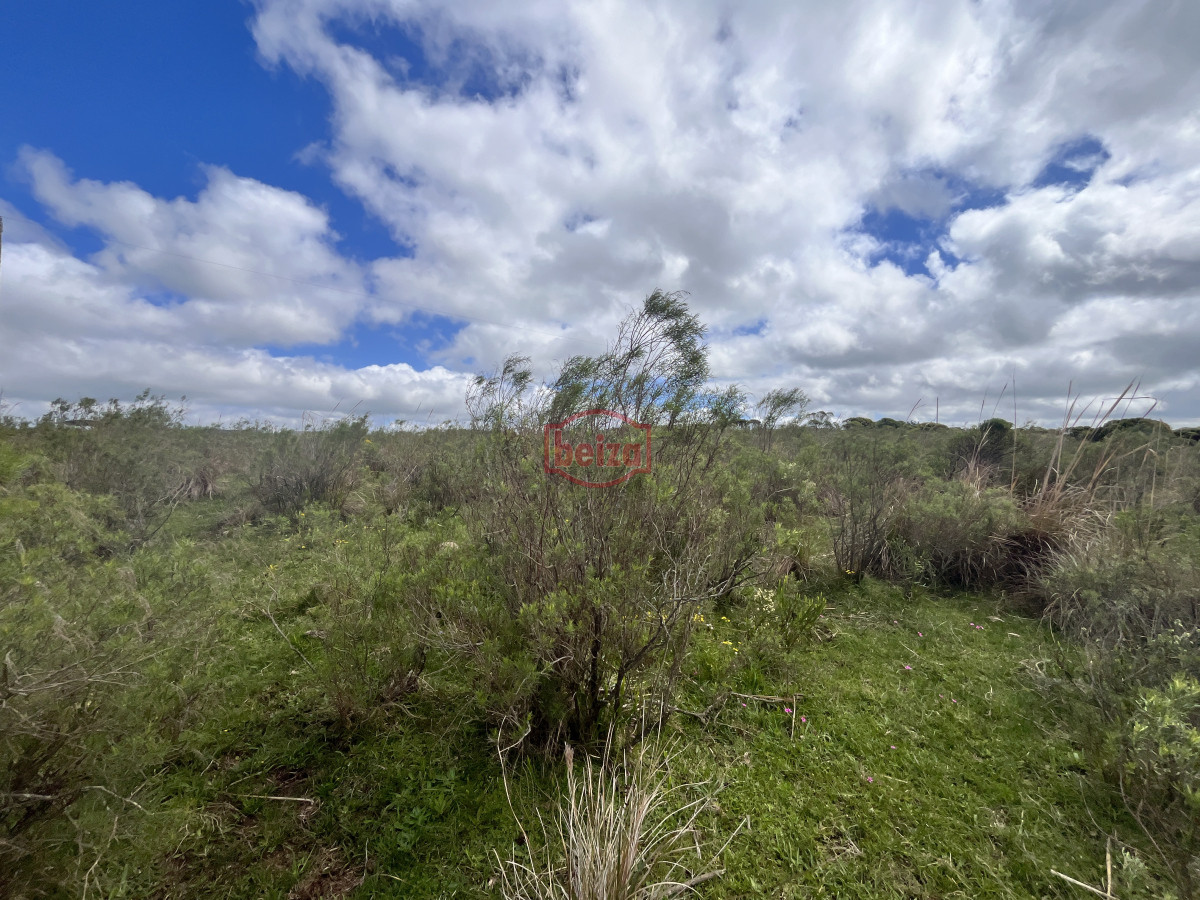 Chacra ID.166857/Venta-chacra-3ha-proximo-ruta-39-San-Carlos - Venta chacra 4,5 ha proximo a ruta 39 Maldonado