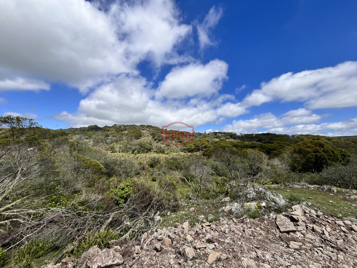 Chacra ID.166862/Venta-chacra-3ha-proxima-ruta-39-Maldonado - Venta chacra 3ha proximo ruta 39 San Carlos