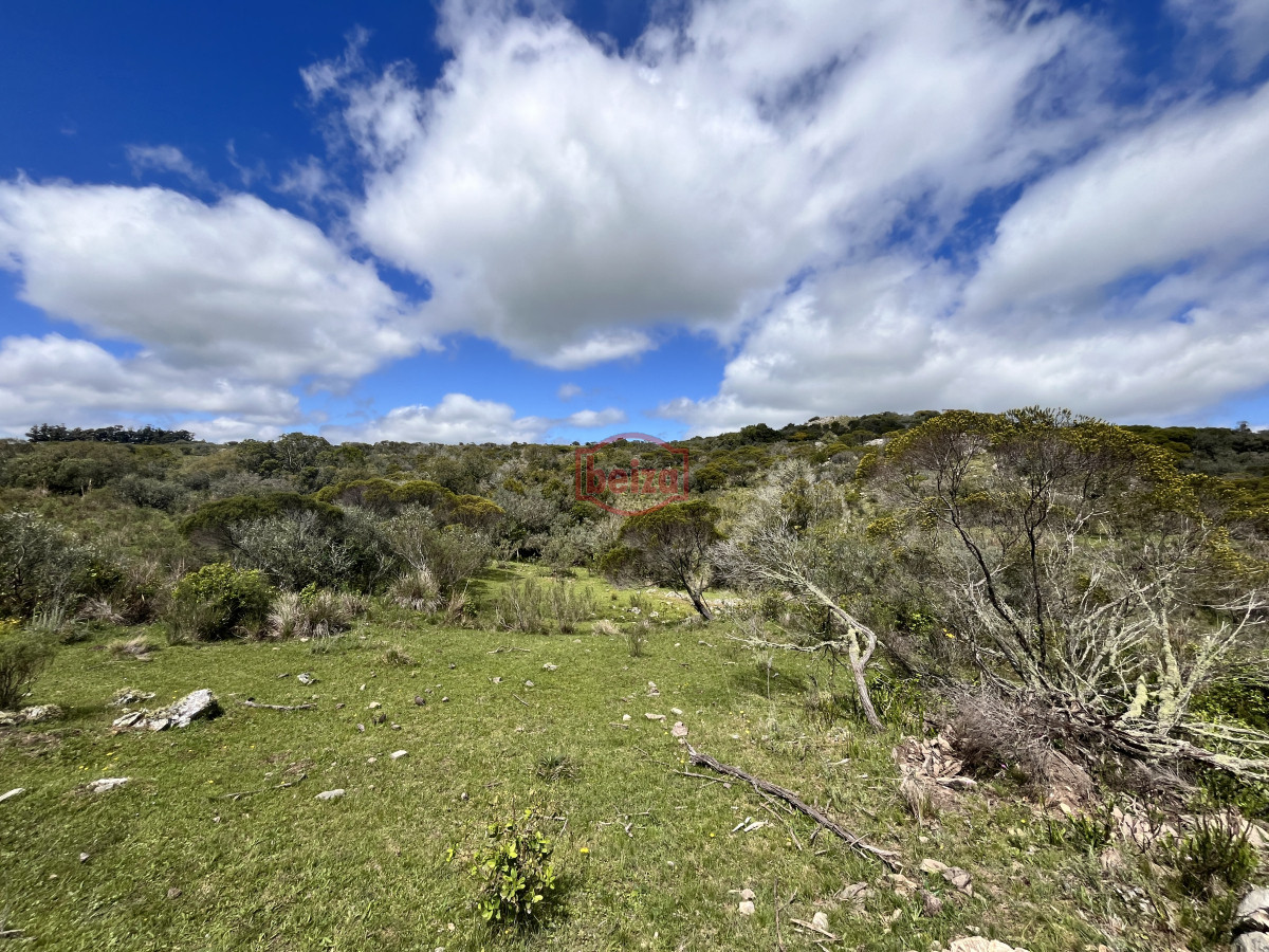 Chacra ID.166864/Venta-chacra-3ha-proximo-ruta-39-Maldonado - Venta chacra 3 ha proximo ruta 39 San Carlos