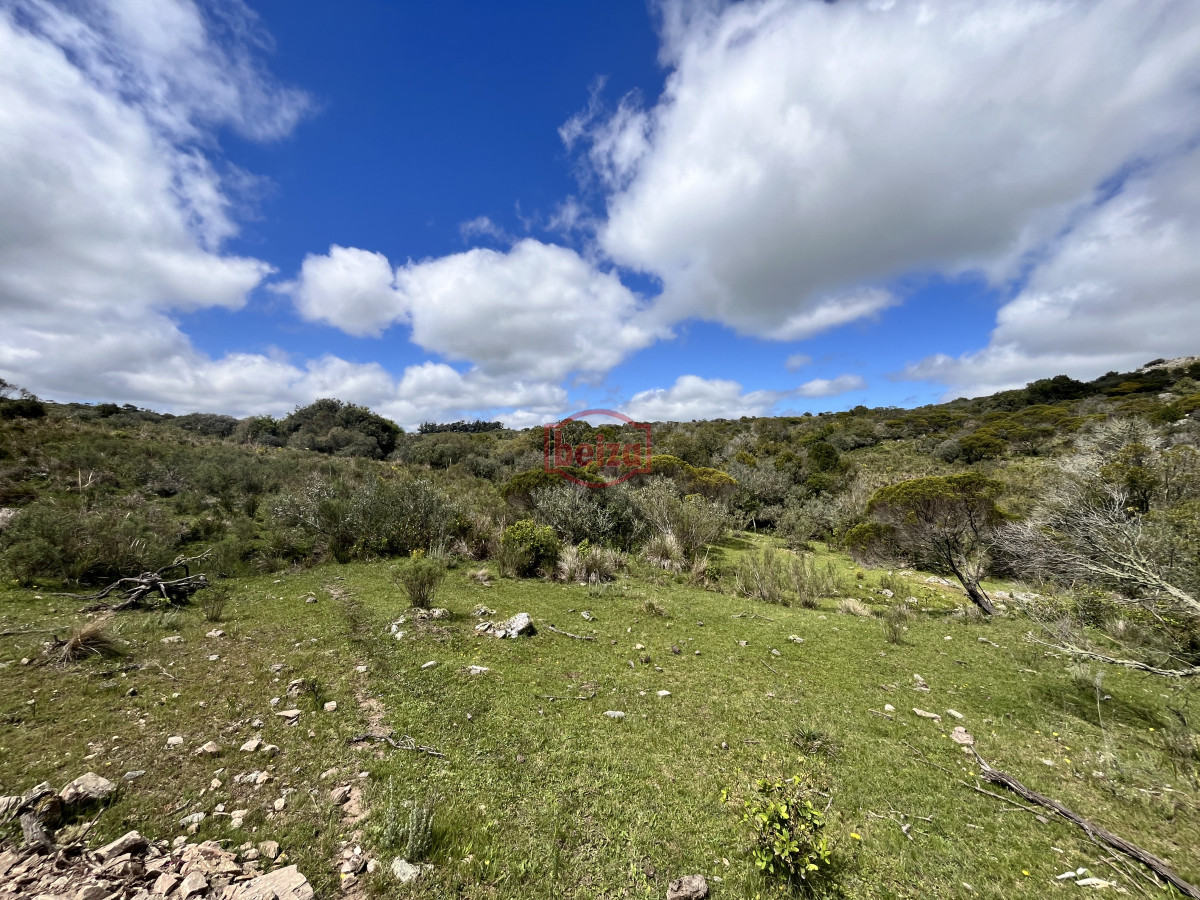 Chacra ID.166864/Venta-chacra-3ha-proximo-ruta-39-Maldonado - Venta chacra 3 ha proximo ruta 39 San Carlos