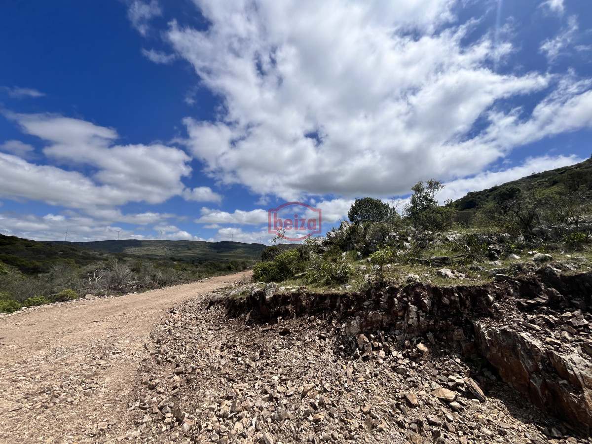 Chacra ID.166870/Venta-chacra-3-ha-proximo-ruta-39-San-Carlos-Maldonado - Venta chacra 3 ha proximo ruta 39 San Carlos Maldonado