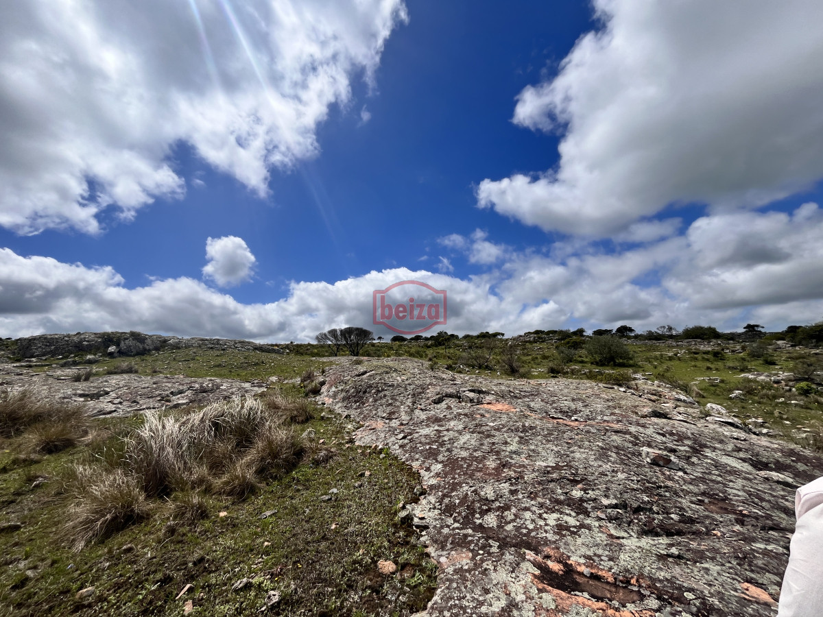 Chacra ID.166858/Venta-chacra-3-ha-proximo-ruta-39-Punta-del-Este - Venta chacra 3 ha proximo ruta 39 San Carlos Maldonado