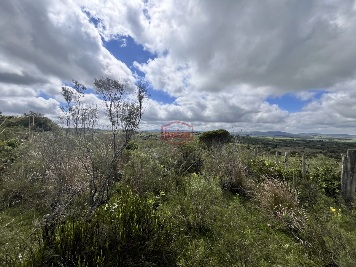 Chacra ID.166857/Venta-chacra-3ha-proximo-ruta-39-San-Carlos - Venta chacra 4,5 ha proximo a ruta 39 Maldonado