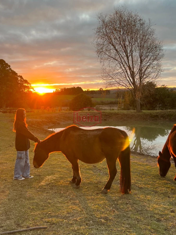 Chacra ID.167049/Chacra-en-Garzón - Venta chacra 14 ha San Carlos Maldonado
