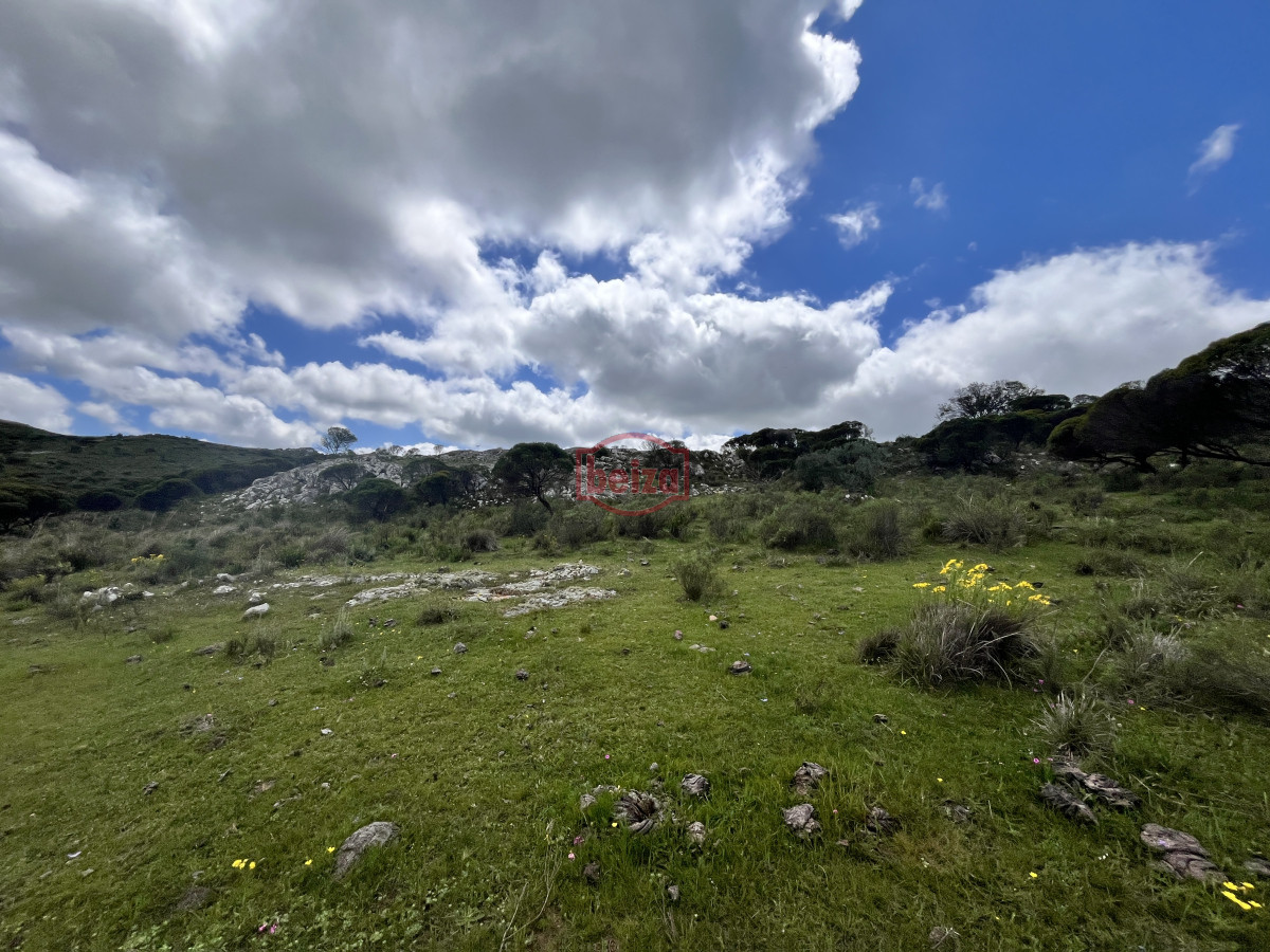 Chacra ID.166858/Venta-chacra-3-ha-proximo-ruta-39-Punta-del-Este - Venta chacra 3 ha proximo ruta 39 San Carlos Maldonado