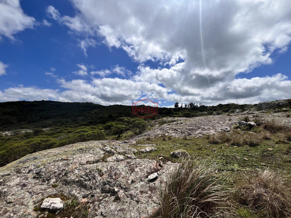 Chacra ID.166858/Venta-chacra-3-ha-proximo-ruta-39-Punta-del-Este - Venta chacra 3 ha proximo ruta 39 San Carlos Maldonado