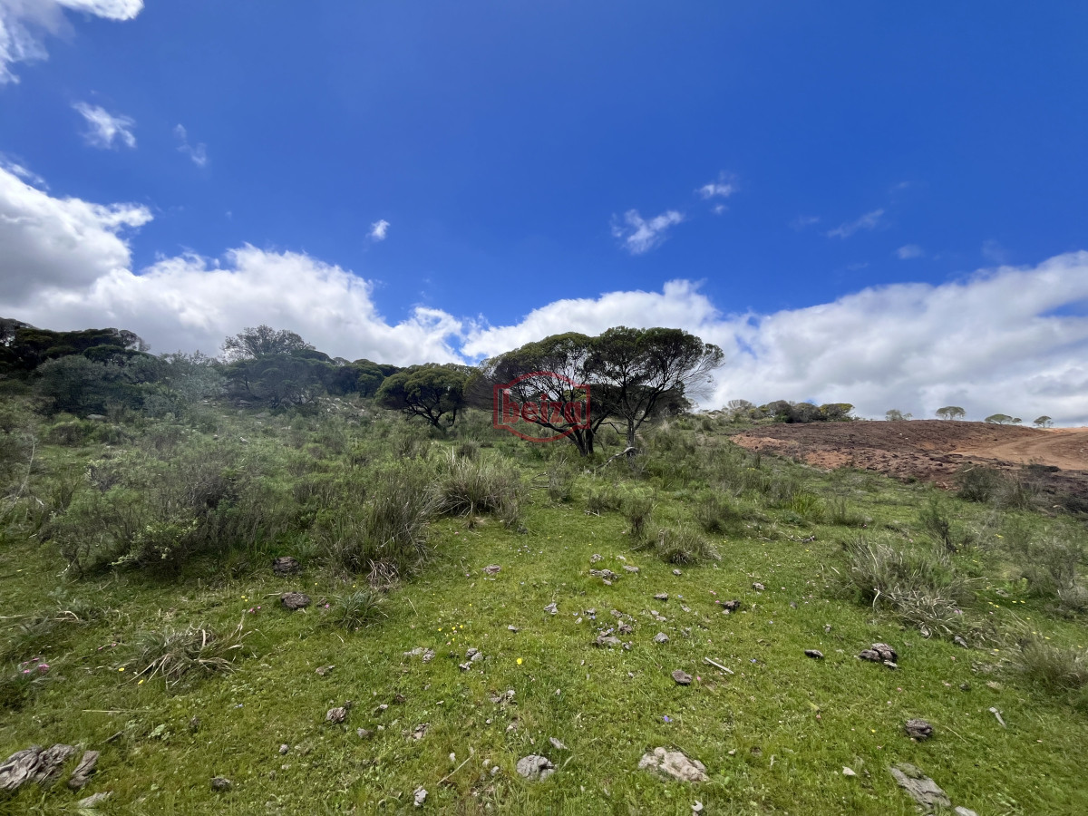 Chacra ID.166858/Venta-chacra-3-ha-proximo-ruta-39-Punta-del-Este - Venta chacra 3 ha proximo ruta 39 San Carlos Maldonado