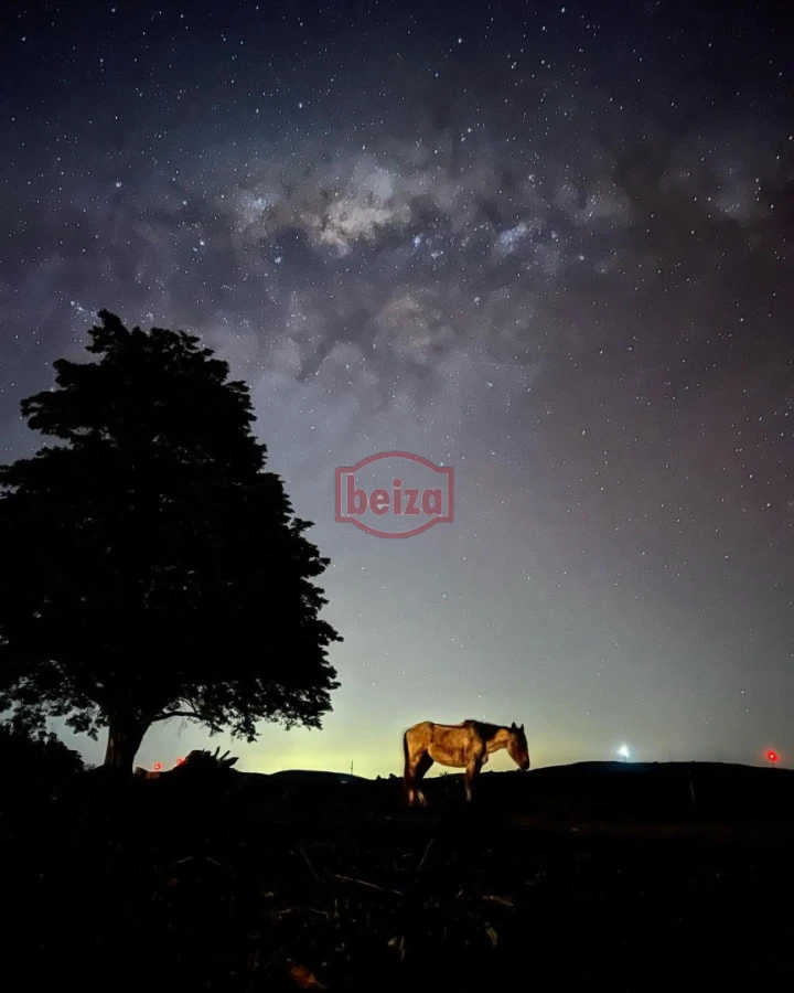 Chacra ID.167049/Chacra-en-Garzón - Venta chacra 14 ha San Carlos Maldonado