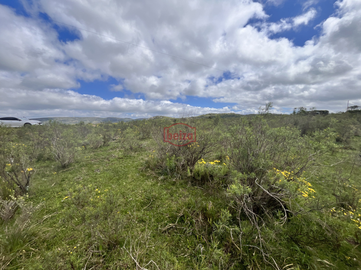 Chacra ID.166857/Venta-chacra-3ha-proximo-ruta-39-San-Carlos - Venta chacra 4,5 ha proximo a ruta 39 Maldonado