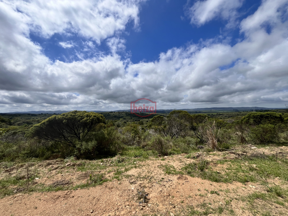 Chacra ID.166857/Venta-chacra-3ha-proximo-ruta-39-San-Carlos - Venta chacra 4,5 ha proximo a ruta 39 Maldonado