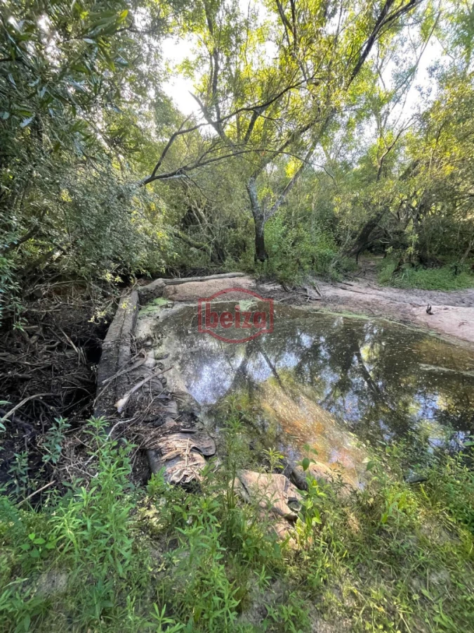 Chacra ID.167049/Chacra-en-Garzón - Venta chacra 14 ha San Carlos Maldonado