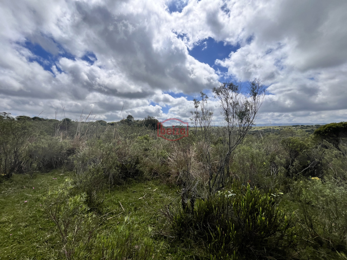 Chacra ID.166857/Venta-chacra-3ha-proximo-ruta-39-San-Carlos - Venta chacra 4,5 ha proximo a ruta 39 Maldonado