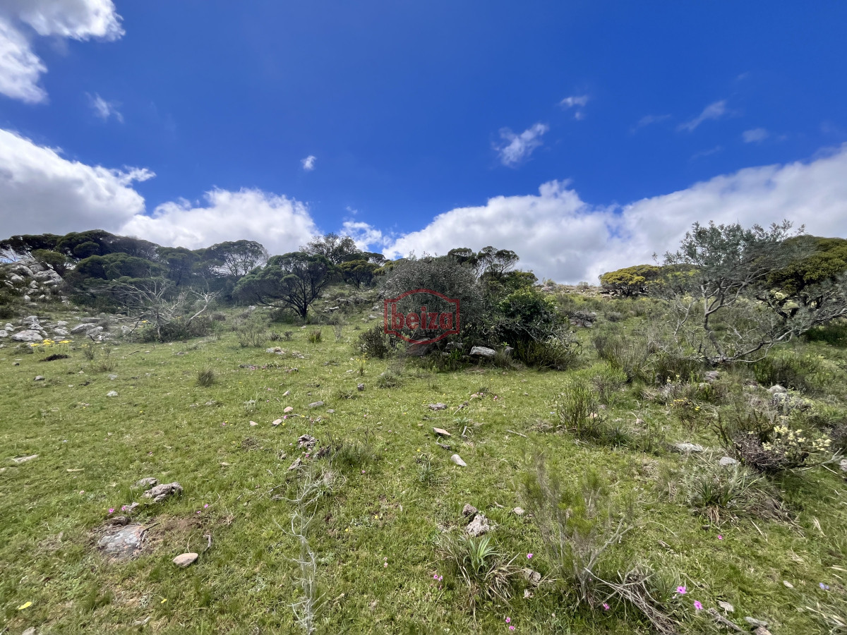 Chacra ID.166858/Venta-chacra-3-ha-proximo-ruta-39-Punta-del-Este - Venta chacra 3 ha proximo ruta 39 San Carlos Maldonado