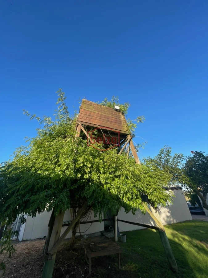 Chacra ID.166087/Venta-chacra-14-ha-San-Carlos-Maldonado - Espléndida Chacra de 15 hectáreas - La Barra