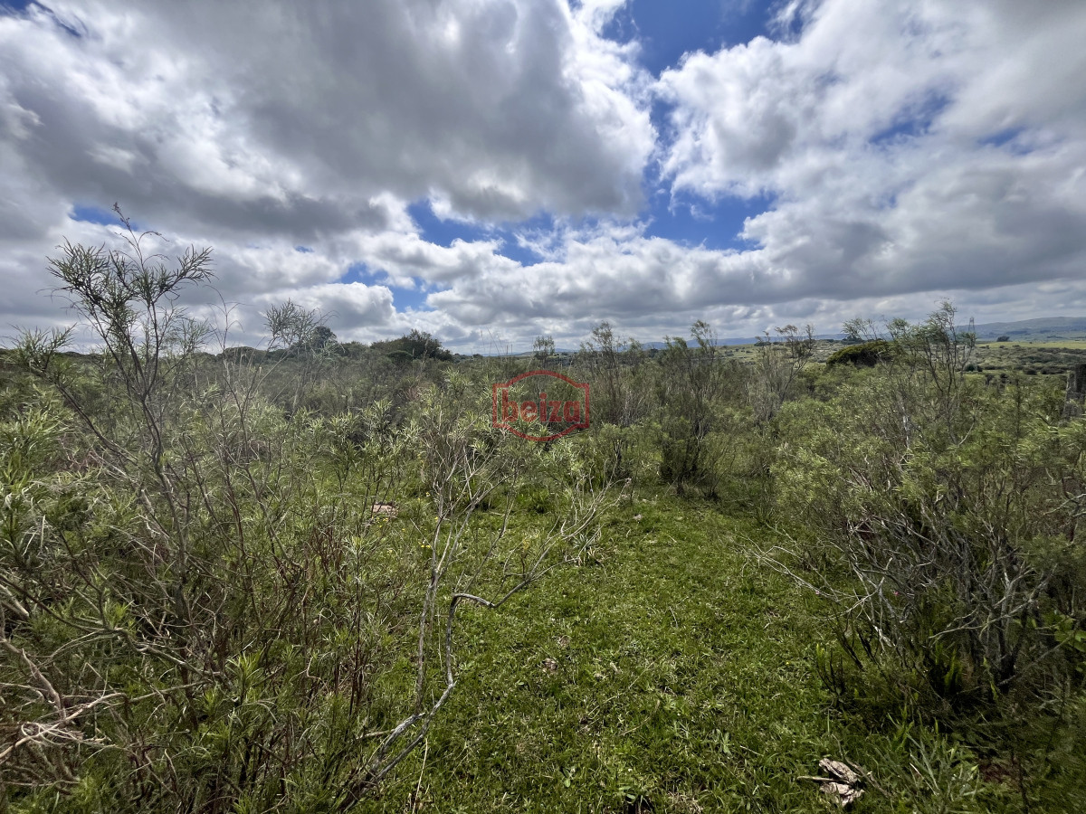 Chacra ID.166857/Venta-chacra-3ha-proximo-ruta-39-San-Carlos - Venta chacra 4,5 ha proximo a ruta 39 Maldonado