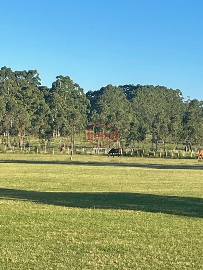 Chacra ID.166087/Venta-chacra-14-ha-San-Carlos-Maldonado - Espléndida Chacra de 15 hectáreas - La Barra