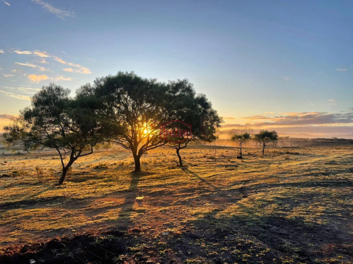 Chacra ID.167049/Chacra-en-Garzón - Venta chacra 14 ha San Carlos Maldonado