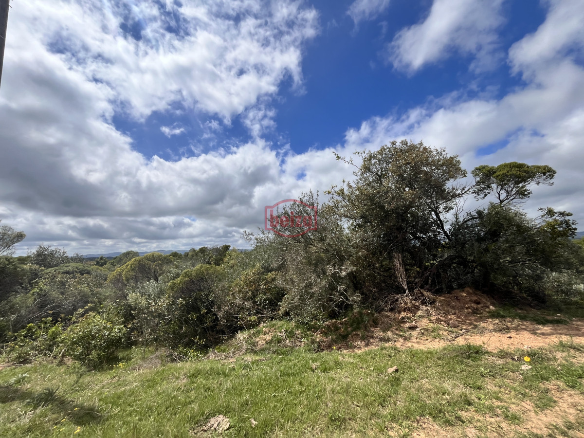 Chacra ID.166857/Venta-chacra-3ha-proximo-ruta-39-San-Carlos - Venta chacra 4,5 ha proximo a ruta 39 Maldonado